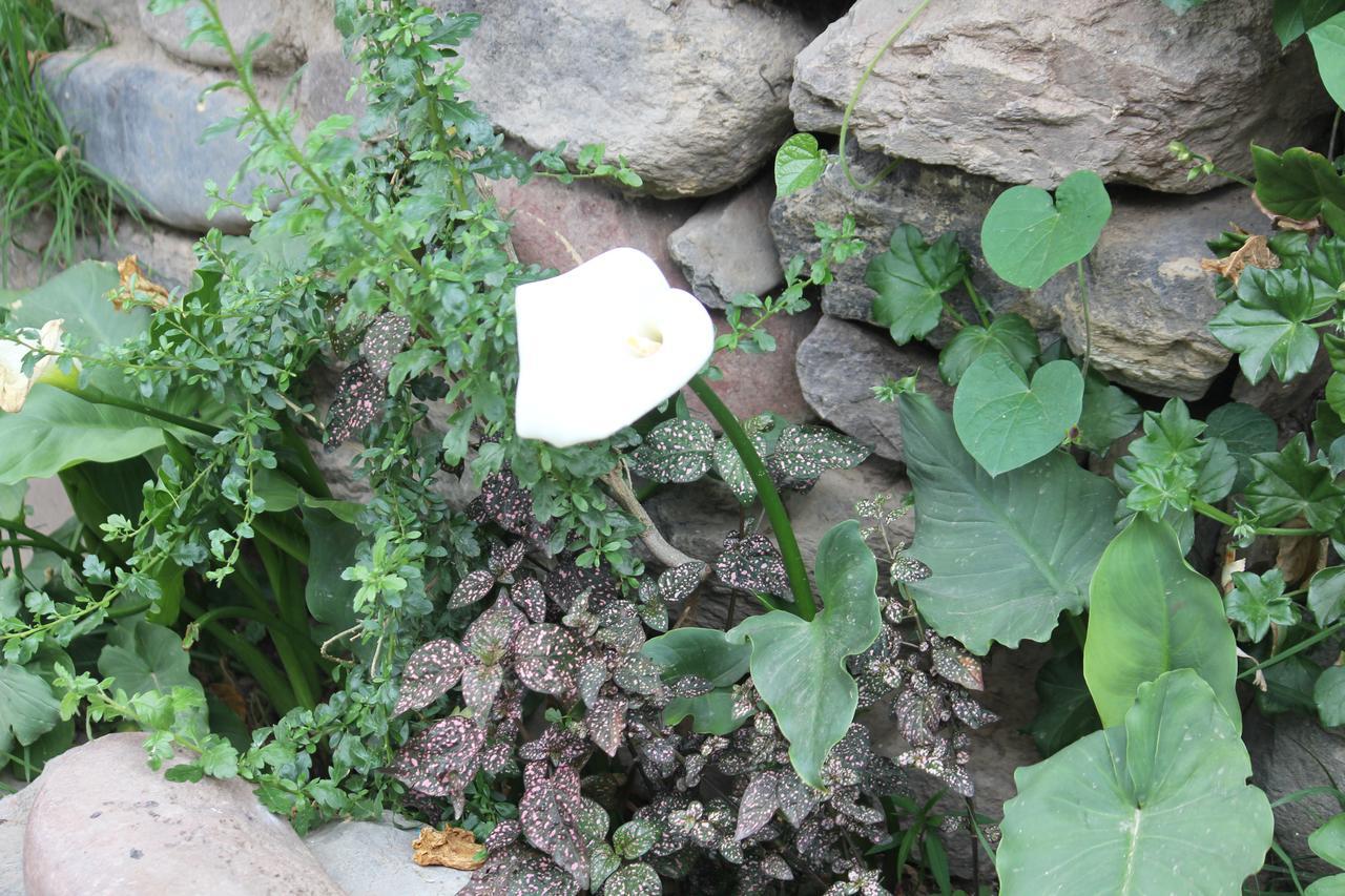 Killari B&B Ollantaytambo Esterno foto