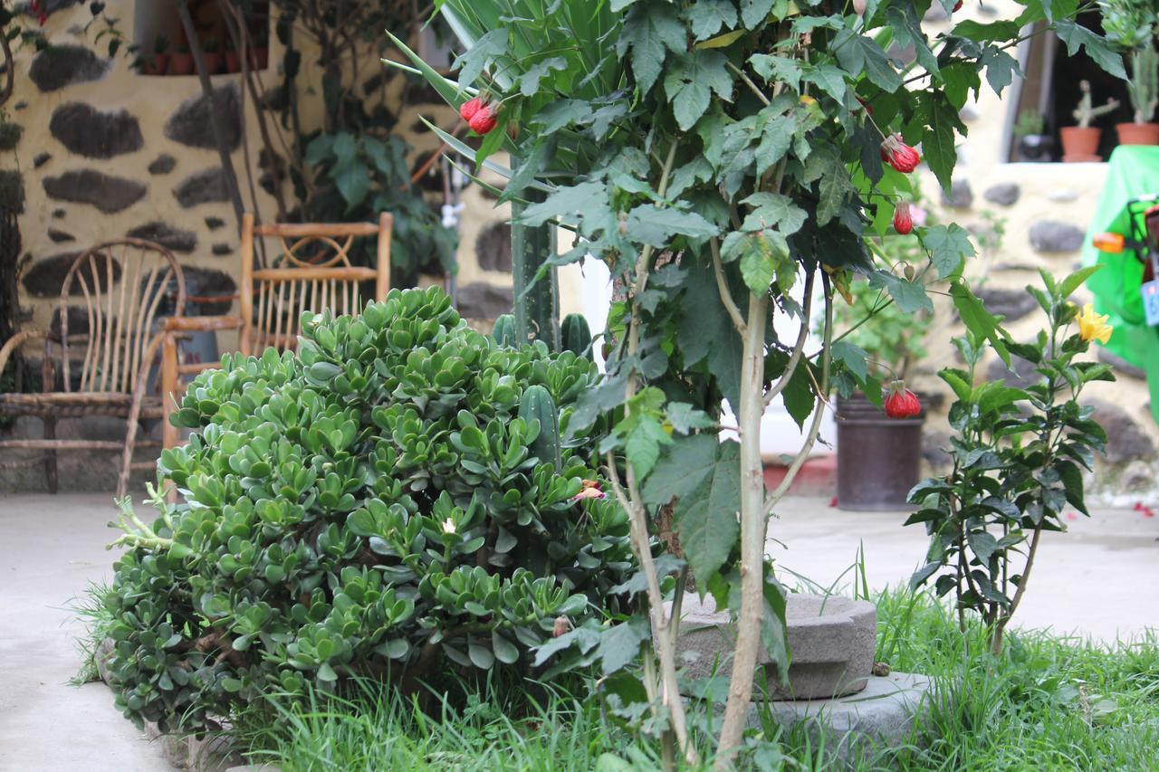 Killari B&B Ollantaytambo Esterno foto